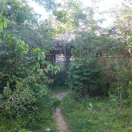 Wasini Island Bandas Exterior photo