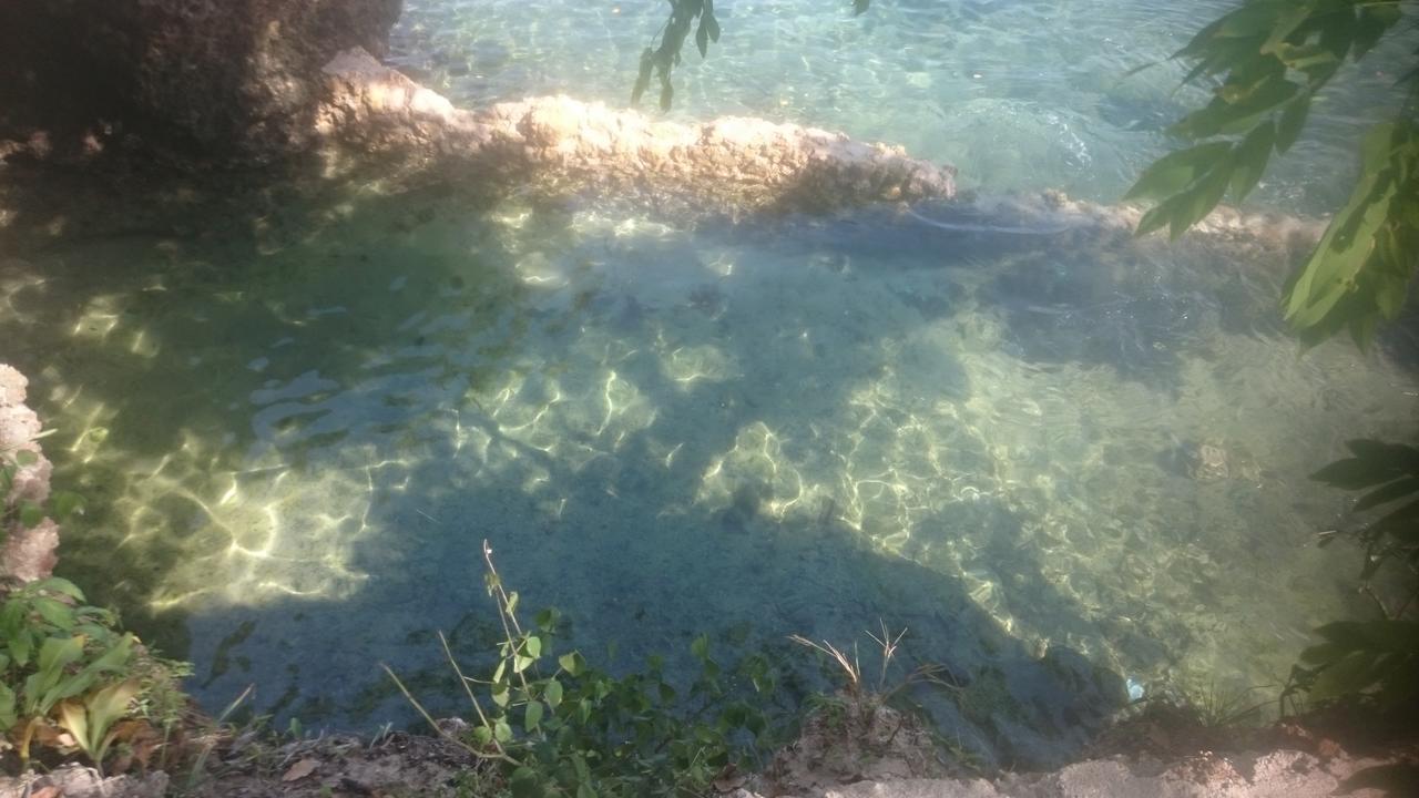 Wasini Island Bandas Exterior photo
